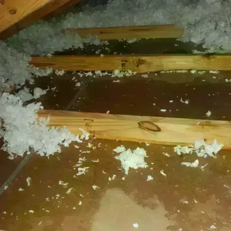 Attic Water Damage in Three Lakes, WA