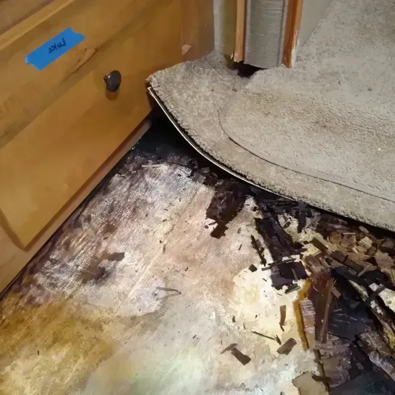 Wood Floor Water Damage in Three Lakes, WA